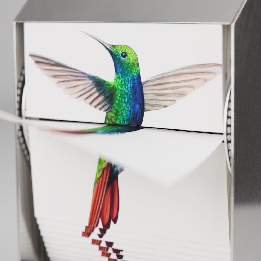 Black-Throated Mango Hummingbird Flipbook Machine