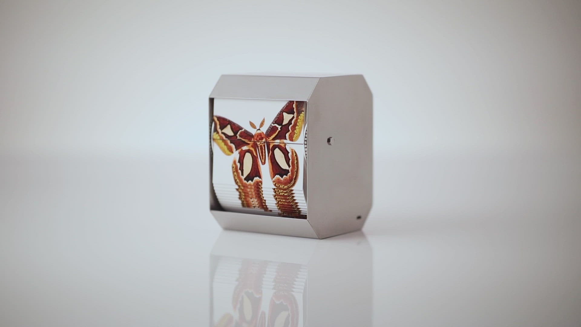 Flipbook Machine Atlas Moth 