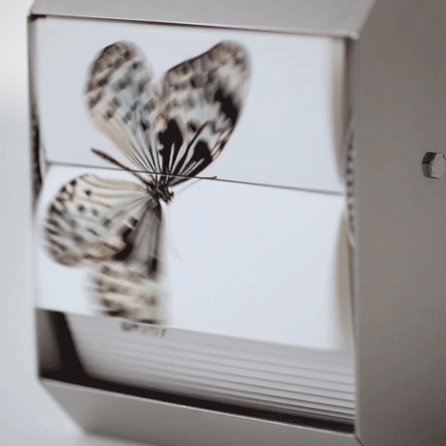 Flipbook Machine Butterfly 