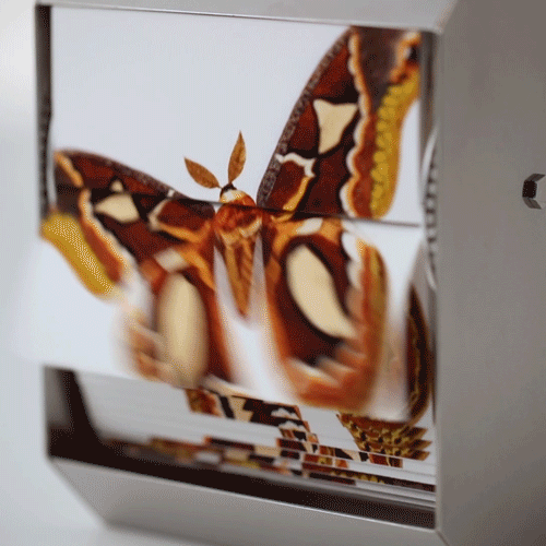 Flipbook Machine Atlas Moth 